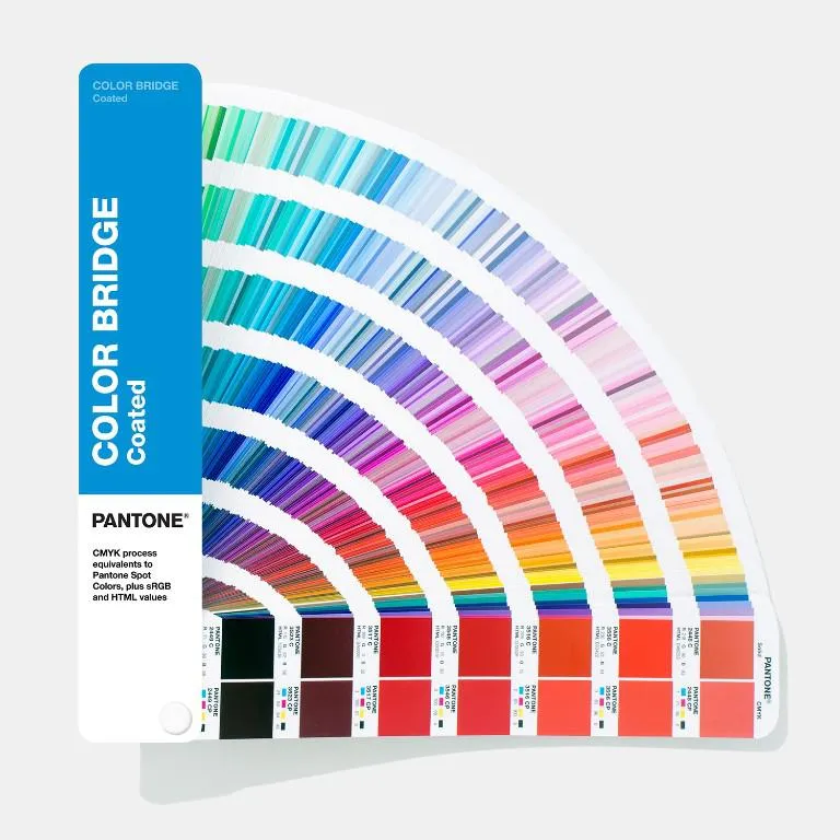 COLOR & LOGO